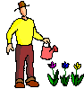 animation